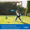 Išmanioji bevielė vidaus/lauko saugumo kamera TP-LINK Tapo C410