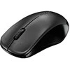 RAPOO Wireless Entry level 3 mygtukai Pelė 1620