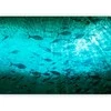 Artgeist Fototapetas - A shoal of dark fish