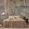 Artgeist Fototapetas - Abstract beige - background with juodas textured concrete patterns