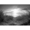 Artgeist Fototapetas - beach (juodas and baltas)