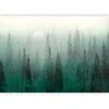 Artgeist Fototapetas - Bird's eye perspective - landscape of a žalias forest with trees in the mist