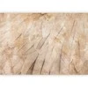 Artgeist Fototapetas - Bird's wings - minimalist close-up on beige feathers with pattern