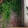 Artgeist Fototapetas - Brick and ivy