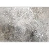 Artgeist Fototapetas - Clear Branching