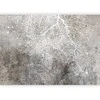 Artgeist Fototapetas - Clear Branching