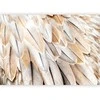 Artgeist Fototapetas - Close-up of bird's wings - uniform close-up on beige bird feathers