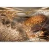 Artgeist Fototapetas - Dandelions' World (Gold)