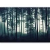 Artgeist Fototapetas - Dark Forest