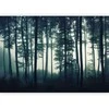 Artgeist Fototapetas - Dark Forest