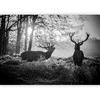Artgeist Fototapetas - Deers in the Morning