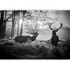 Artgeist Fototapetas - Deers in the Morning