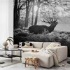 Artgeist Fototapetas - Deers in the Morning
