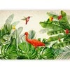 Artgeist Fototapetas - Exotic Birds - Third Variant