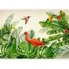 Artgeist Fototapetas - Exotic Birds - Third Variant