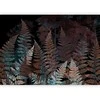 Artgeist Fototapetas - Ferns in the Woods - Third Variant