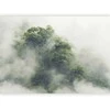 Artgeist Fototapetas - Foggy Amazon