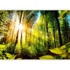 Artgeist Fototapetas - Forest Hideout