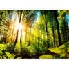 Artgeist Fototapetas - Forest Hideout