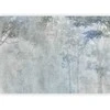 Artgeist Fototapetas - Forest Reverb