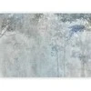 Artgeist Fototapetas - Forest Reverb