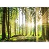 Artgeist Fototapetas - Forest Tales