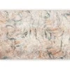 Artgeist Fototapetas - Greek laurels - faded composition with leaves on a beige patterned background
