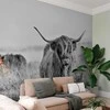 Artgeist Fototapetas - Highland Cattle
