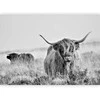 Artgeist Fototapetas - Highland Cattle