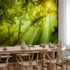 Artgeist Fototapetas - In a Secret Forest