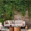 Artgeist Fototapetas - Ivy wall