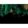 Artgeist Fototapetas - Jungle and composition - motif of žalias and golden leaves on a juodas background