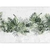 Artgeist Fototapetas - Jungle and žalias plume - large tropical leaves on a baltas background