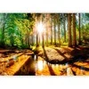 Artgeist Fototapetas - Marvelous Forest