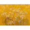 Artgeist Fototapetas - Meadow Bathed in the Sun