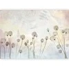 Artgeist Fototapetas - Minimalist meadow - floral motif in light shades with reflections