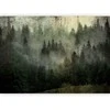 Artgeist Fototapetas - Misty Beauty of the Forest
