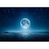 Artgeist Fototapetas - Moonlit night