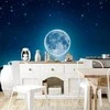 Artgeist Fototapetas - Moonlit night