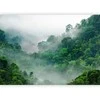 Artgeist Fototapetas - Morning Fog