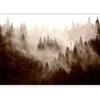 Artgeist Fototapetas - Mountain Forest (Sepia)