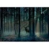 Artgeist Fototapetas - Mystical Forest - Third Variant