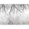 Artgeist Fototapetas - Natural Brightness