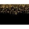 Artgeist Fototapetas - Nature landscape - juodas abstract nature motif with flowers in sepia