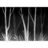 Artgeist Fototapetas - Noise of the forest at night - minimalist landscape of baltas trees on a juodas background
