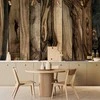 Artgeist Fototapetas - Olive Wood