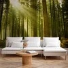 Artgeist Fototapetas - Pine forest – dense woodland in morning sunlight
