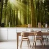 Artgeist Fototapetas - Pine forest – dense woodland in morning sunlight