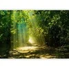Artgeist Fototapetas - Road in Sunlight
