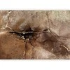 Artgeist Fototapetas - Rock abstraction - ruda and beige pattern in the style of cracked stone